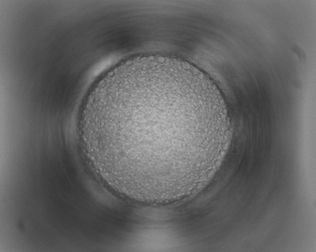 X0000116040632200912312233