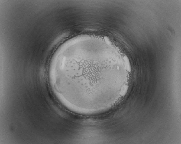 X0000116040634200912312233