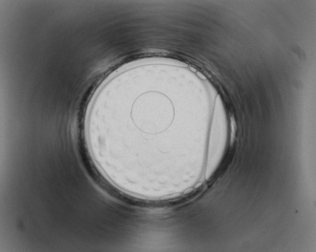 X0000116040638200912312233