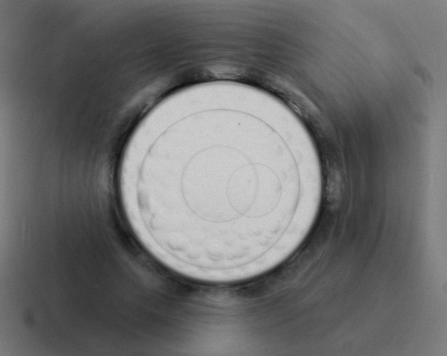 X0000116040639200912312233