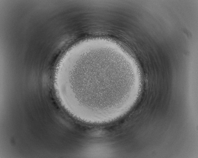 X0000116040642200912312233