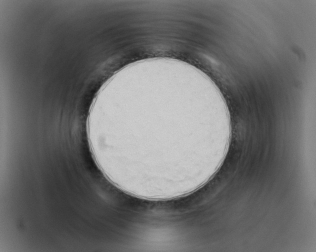 X0000116040645200912312233