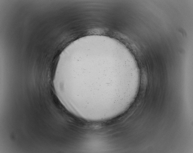 X0000116040647200912312233