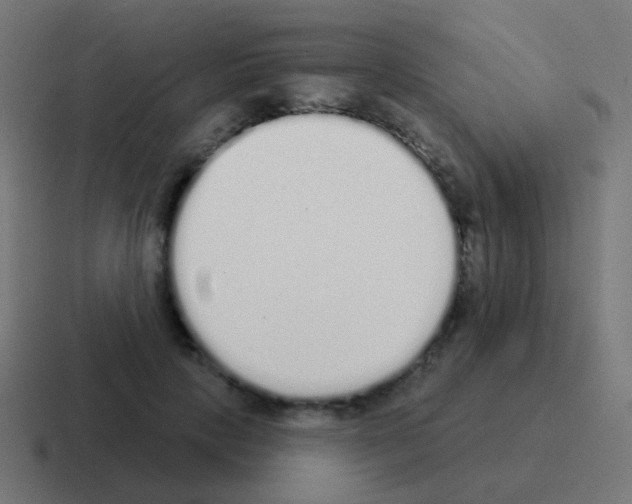 X0000116040649200912312233