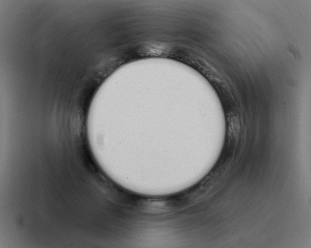 X0000116040651200912312233