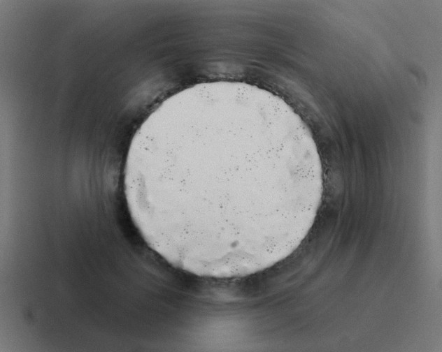 X0000116040652200912312233