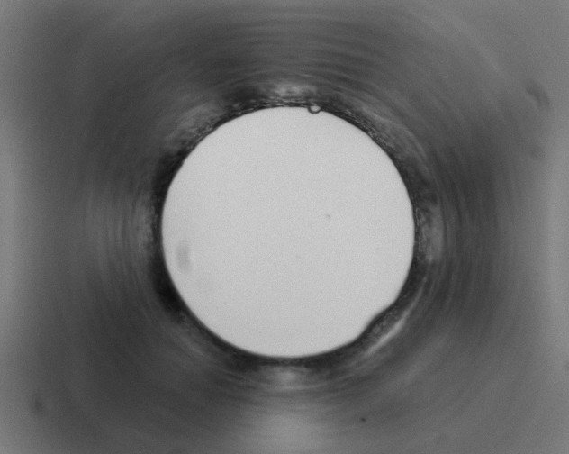 X0000116040654200912312233