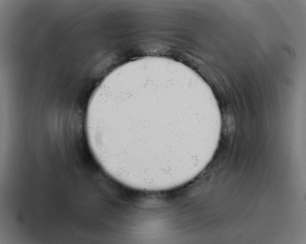 X0000116040664200912312233