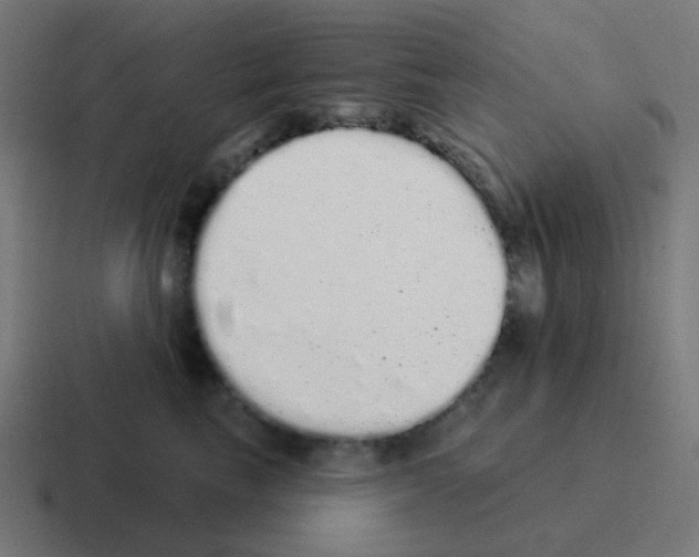 X0000116040665200912312233