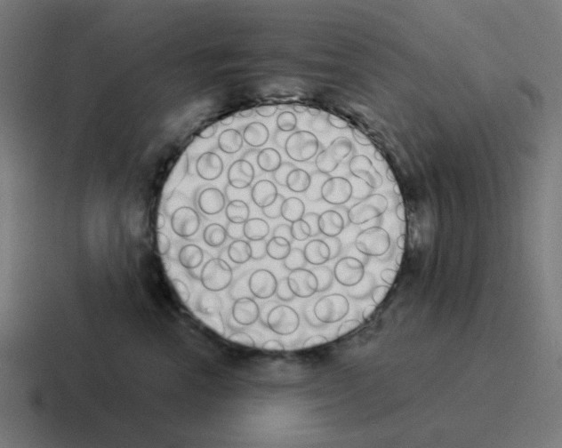 X0000116040666200912312233