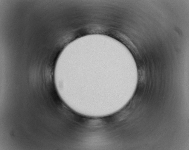 X0000116040669200912312233