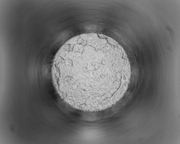 X0000116040671200912312233