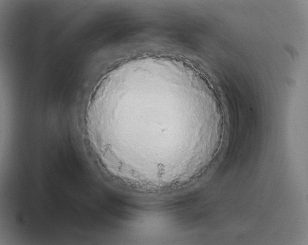 X0000116040672200912312233