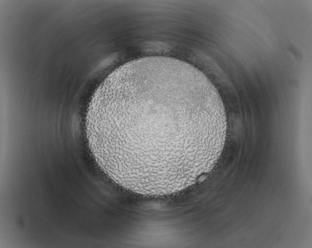 X0000116040692200912312233
