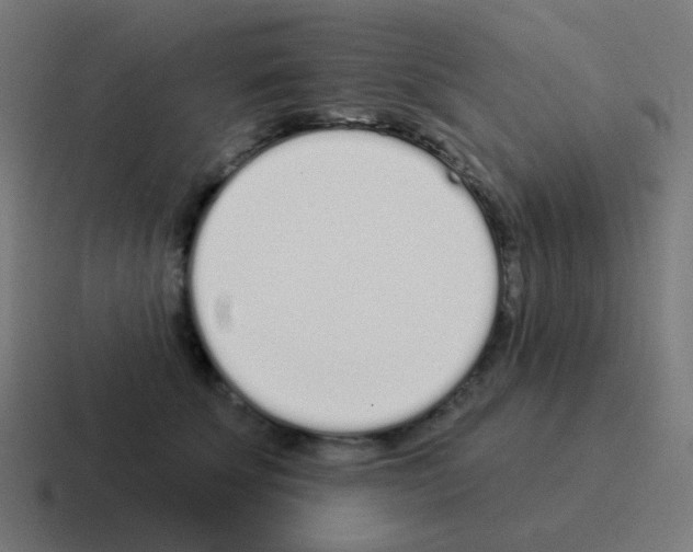 X0000116040707200912312232
