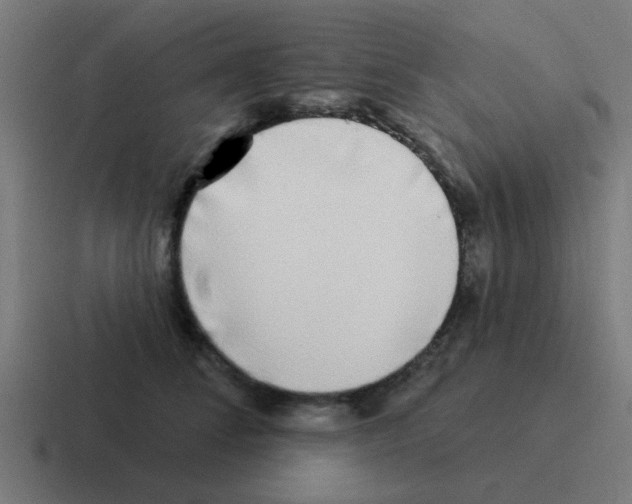 X0000116040708200912312232