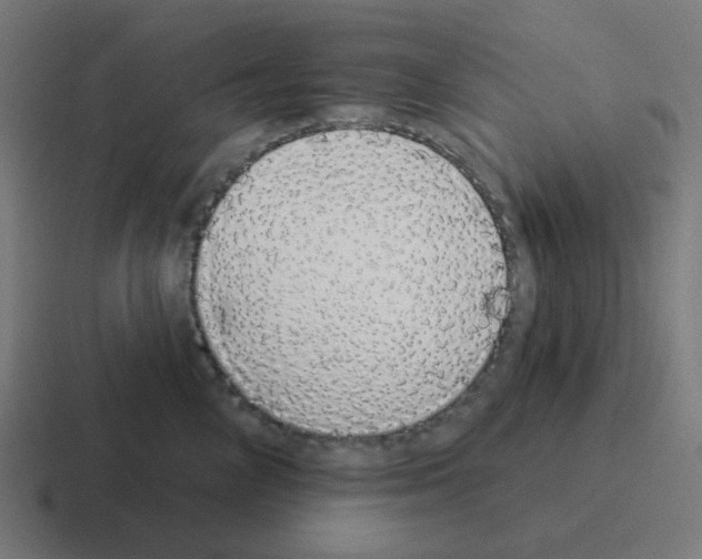 X0000116040714200912312232
