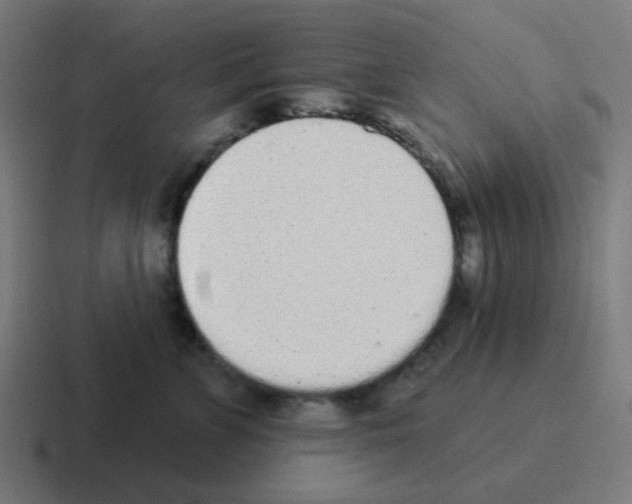 X0000116040715200912312232