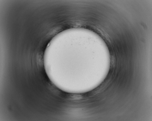 X0000116040719200912312232