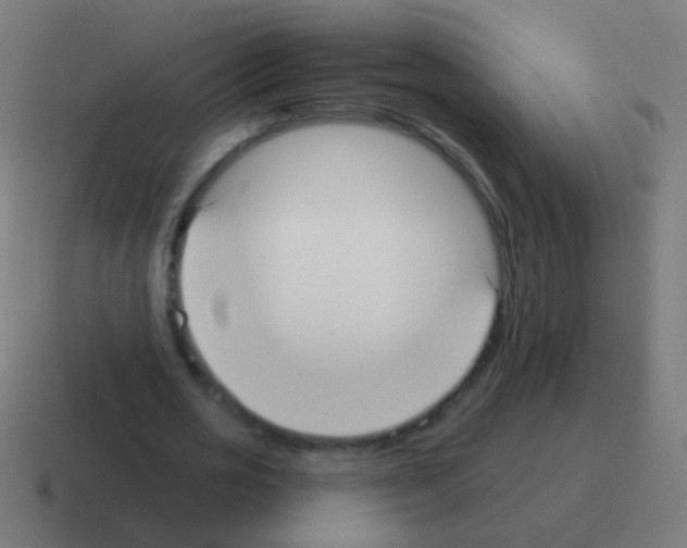 X0000116040725200912312232