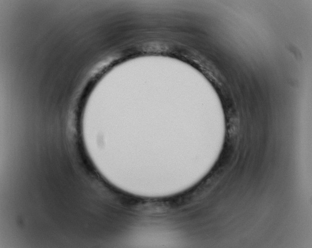 X0000116040727200912312232
