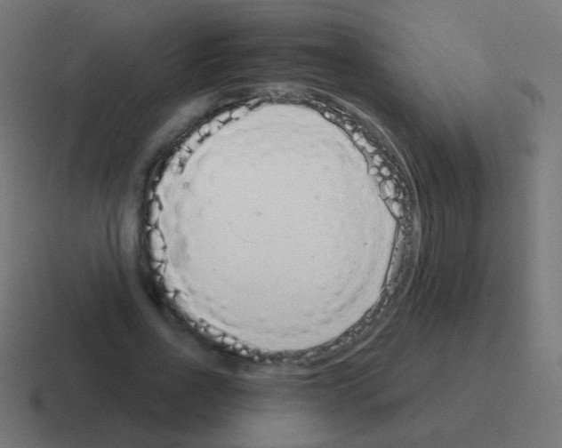 X0000116040734200912312232