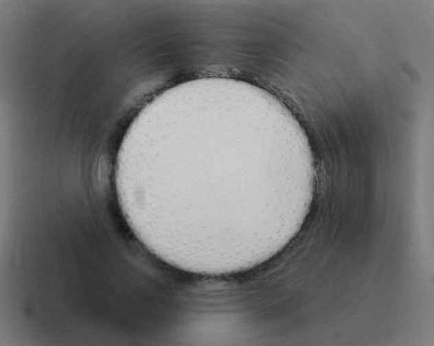 X0000116040742200912312232
