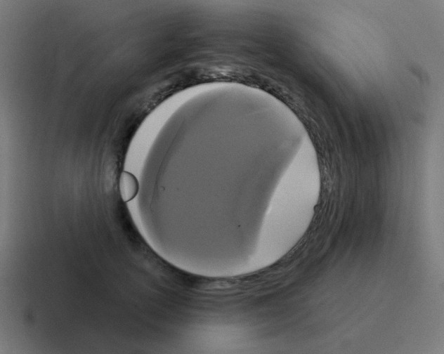 X0000116040754200912312232