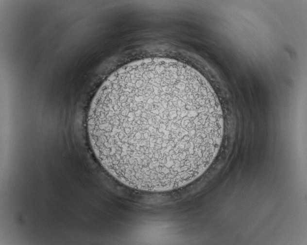 X0000116040757200912312232