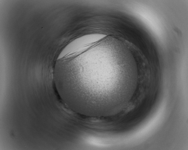 X0000116040766200912312232