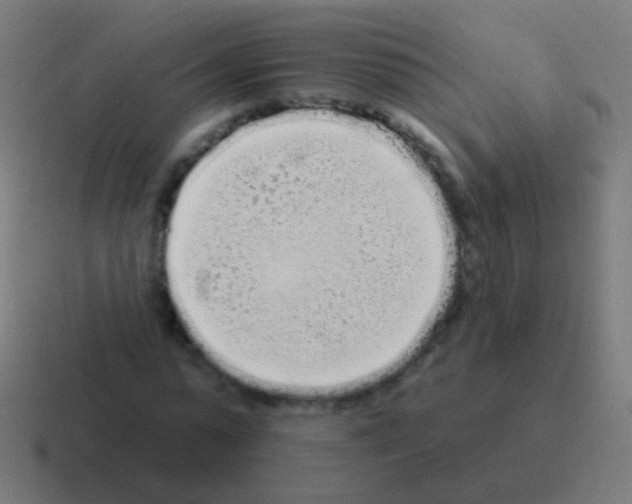 X0000116040775200912312232