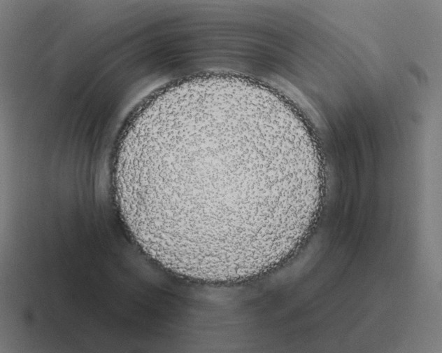 X0000116040782200912312232