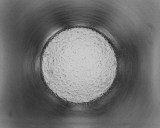 X0000116040790200912312231