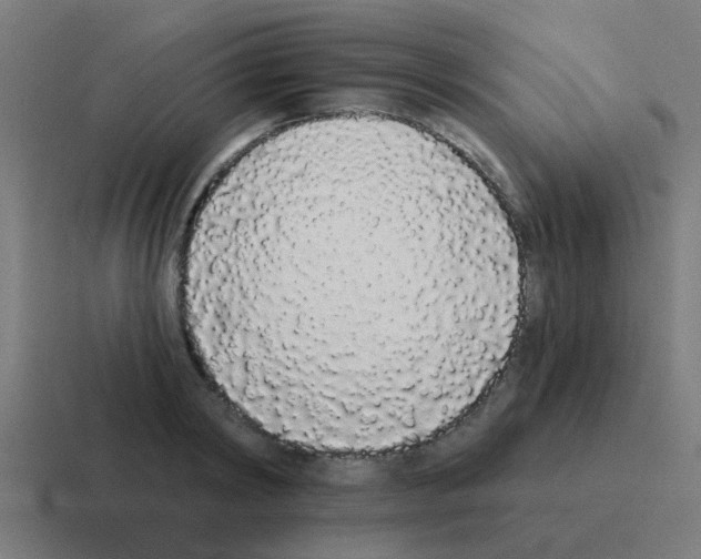 X0000116040798200912312231