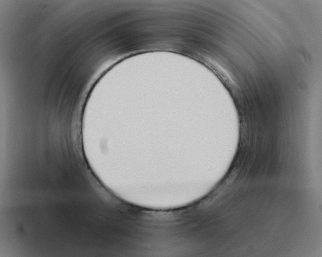 X0000116040800200912312231