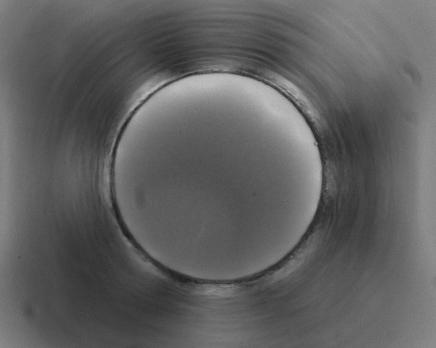 X0000116040802200912312231