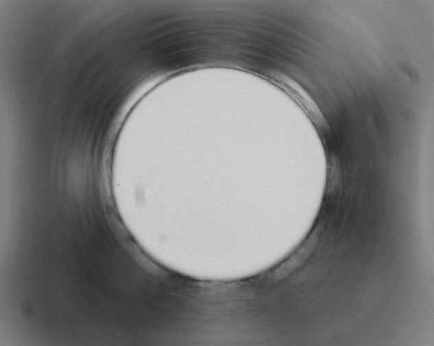 X0000116040812200912312231