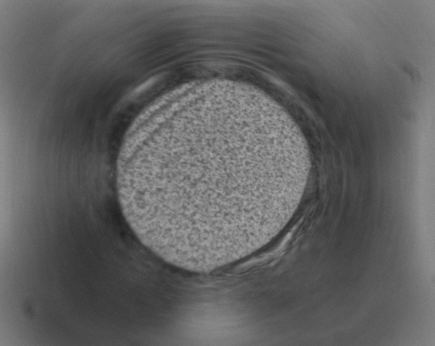 X0000116040822200912312231