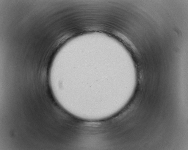 X0000116040825200912312231