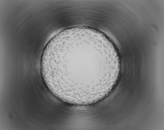 X0000116040834200912312231