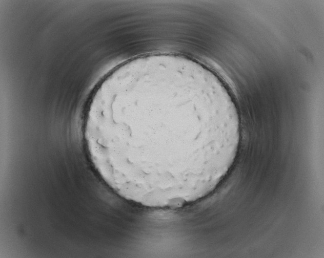 X0000116040835200912312231