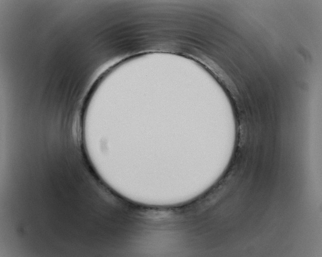 X0000116040838200912312231