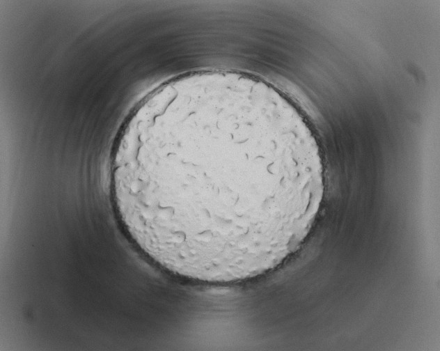 X0000116040839200912312231