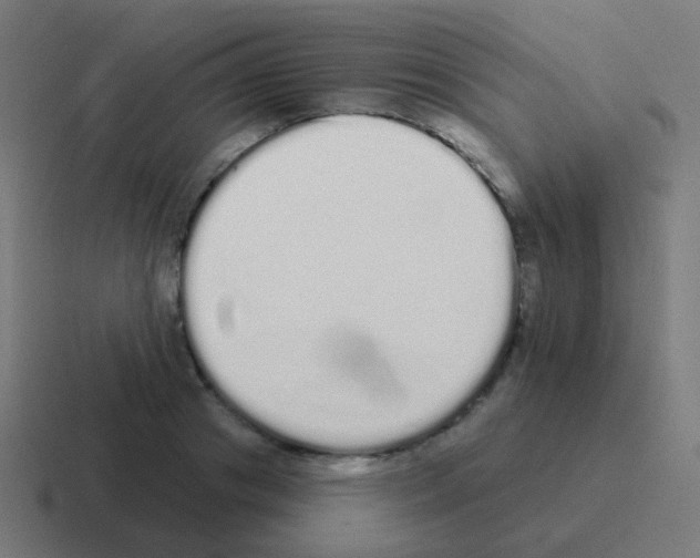 X0000116040841200912312231