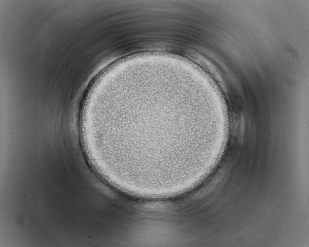 X0000116040843200912312231