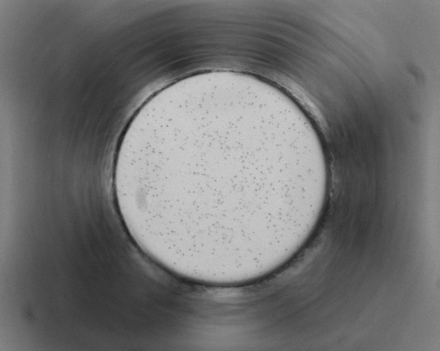 X0000116040845200912312231