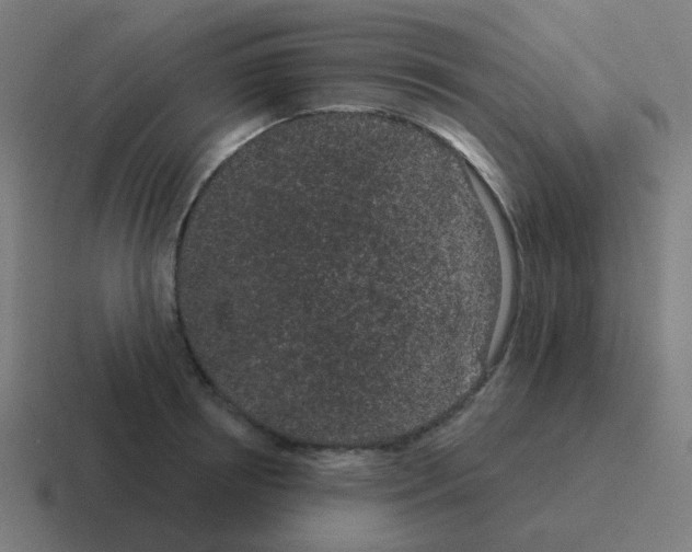 X0000116040850200912312231