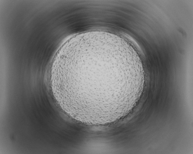 X0000116040852200912312231