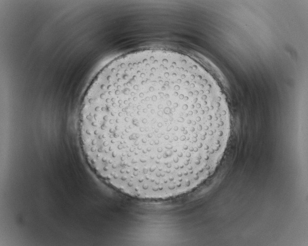 X0000116040855200912312231