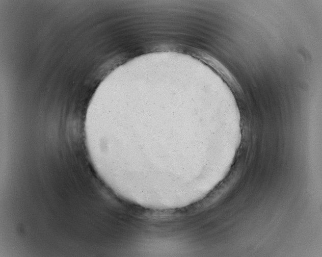 X0000116040857200912312231